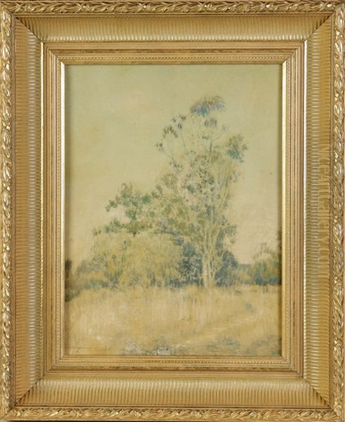 Study Of Trees Oil Painting by Lawton S. Parker