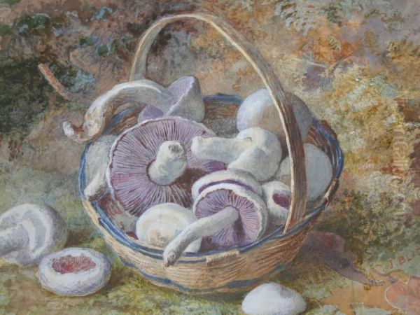 A Basket Of Mushrooms Oil Painting by Jabez Bligh