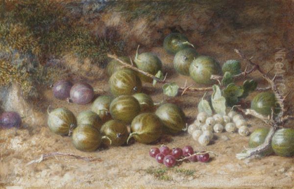 Gooseberries, And Red And White Currants On A Mossy Bank Oil Painting by Jabez Bligh