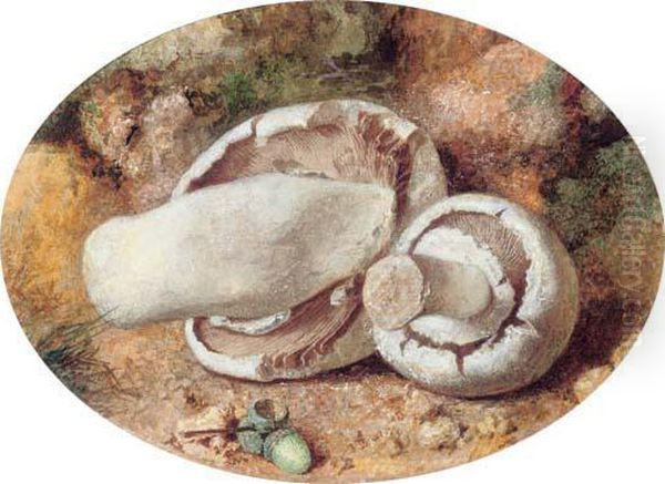 Field Mushrooms And Acorns Oil Painting by Jabez Bligh