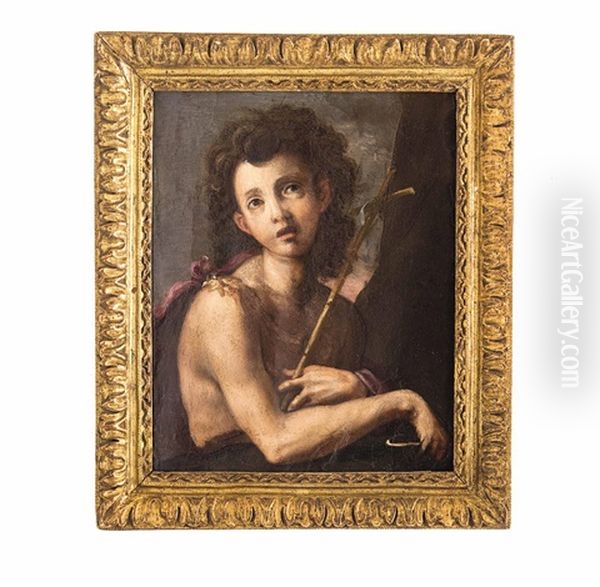 Der Junge Johannes Der Taufer Oil Painting by  Parmigianino