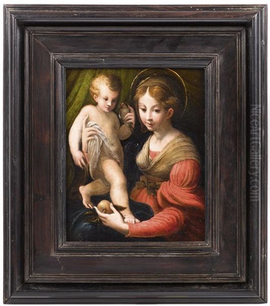 Madonna Della Mela Oil Painting by  Parmigianino