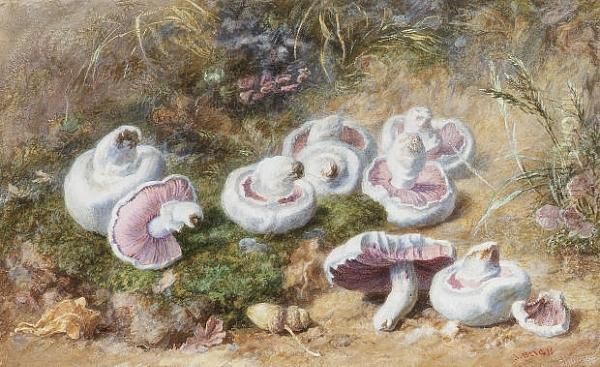 Field Mushrooms And Acorns Oil Painting by Jabez Bligh