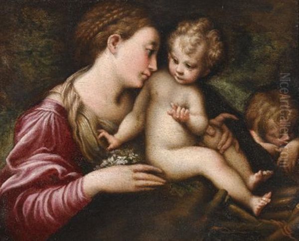 The Madonna And Child With St. John The Baptist Sleeping Oil Painting by  Parmigianino