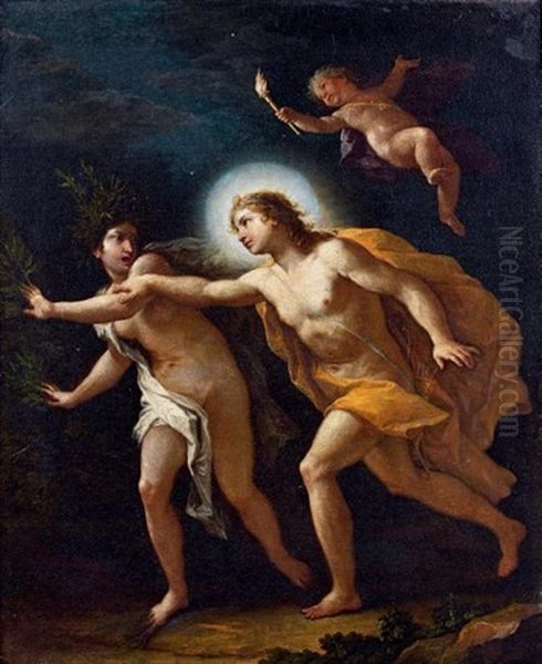 Apollon Et Daphne Oil Painting by  Parmigianino (Michele da Parma)