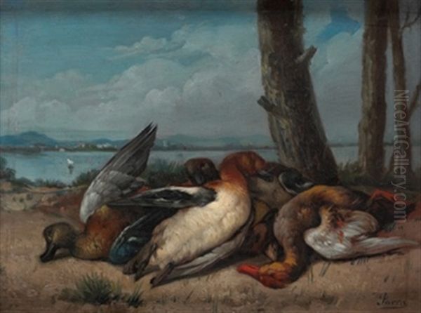 Patos En La Albufera Oil Painting by Miguel Parra Abril