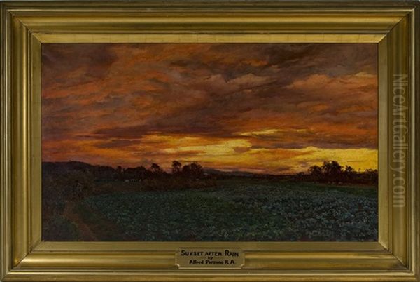 Sunset After Rain Oil Painting by Alfred William Parsons