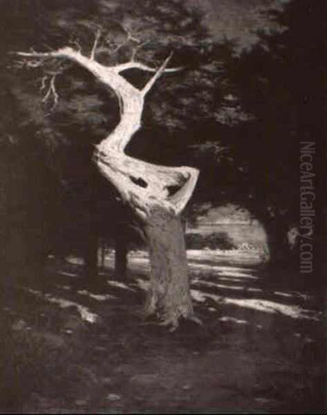 Ghost Tree Of Monterey Oil Painting by Richard Langtry Partington