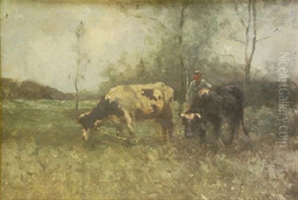 Cattle With Figure In Pasture Oil Painting by Robert D. Pasquoll