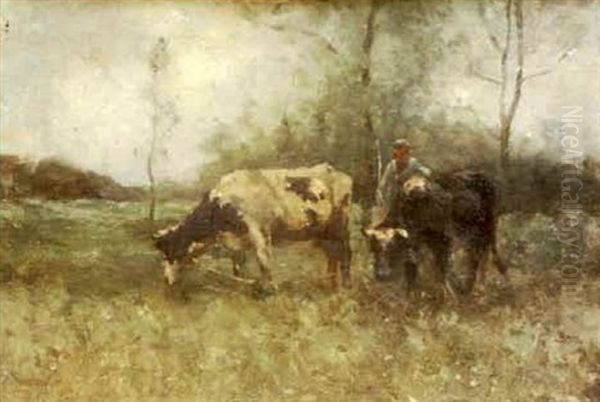 Cattle With Figure In Pasture Oil Painting by Robert D. Pasquoll