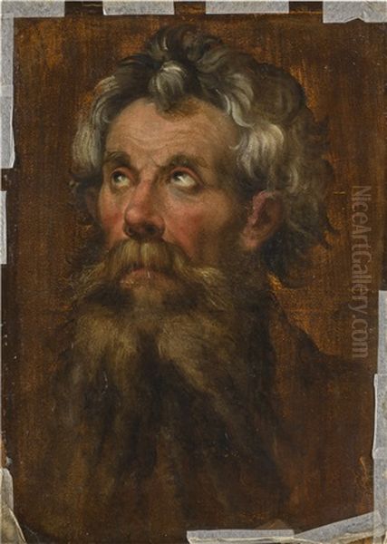 Study For The Head Of A Man Looking Up by Bartolomeo Passarotti