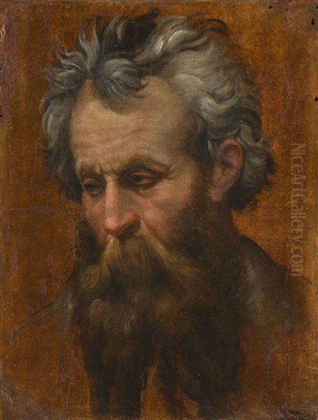 Study For The Head Of A Man Looking Down Oil Painting by Bartolomeo Passarotti