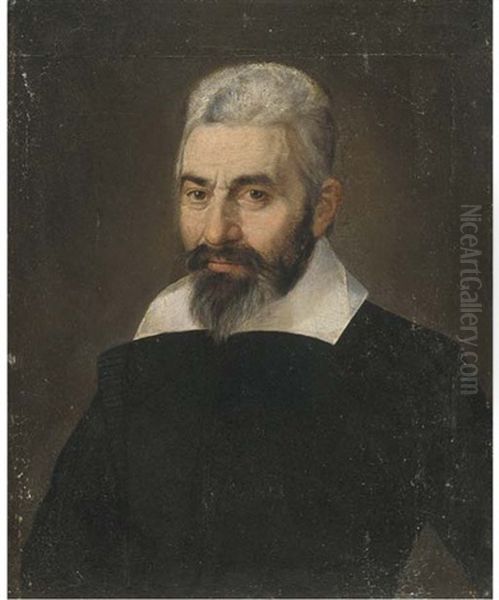 Portrait Of A Gentleman, Half-length, In A Black Doublet Oil Painting by Bartolomeo Passarotti