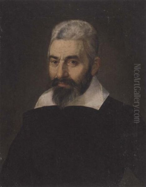 Portrait Of A Gentleman In A Black Doublet Oil Painting by Bartolomeo Passarotti