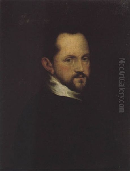 Portrait Of A Gentleman, Wearing Black Oil Painting by Bartolomeo Passarotti