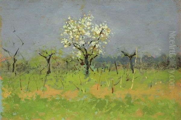 Alberi In Fiore by Carlo Passigli