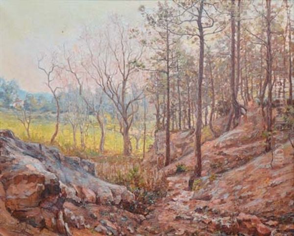 Rochers En Foret Oil Painting by Louis Pastour