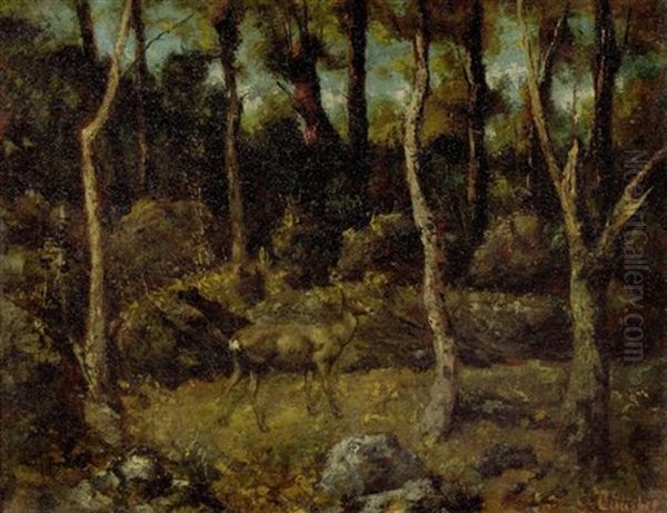 Junges Reh In Einem Wald Oil Painting by Cherubino Pata