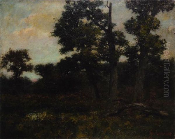 Paysage De Lisiere De Foret, Fontainebleau? Oil Painting by Cherubino Pata