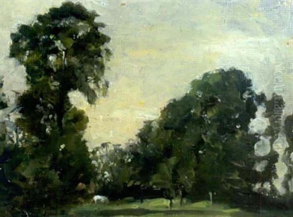 Elm Trees, Near Aylesbury, Buckinghamshire Oil Painting by Emily Murray Paterson