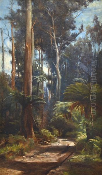 In The Dandenongs Oil Painting by John Ford Paterson