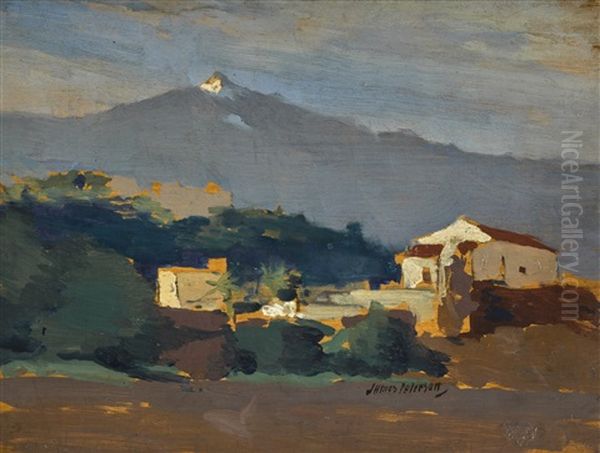 Orotava, Tenerife Oil Painting by James Paterson