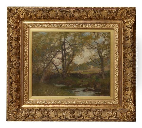 A Woodland Stream Oil Painting by James Paterson