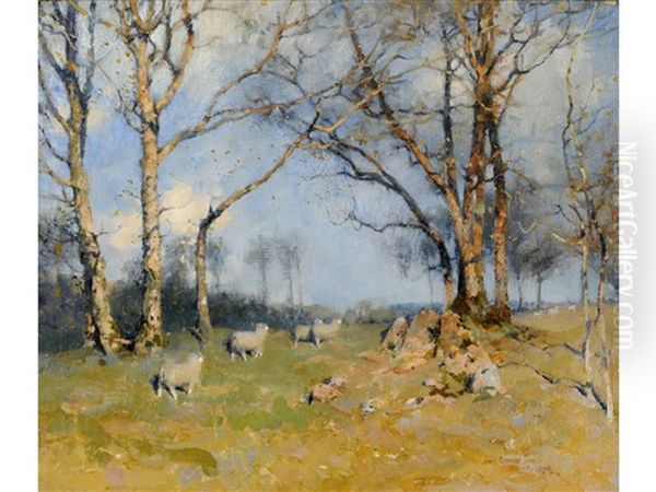 Sheep Under Trees, Moniaive Oil Painting by James Paterson