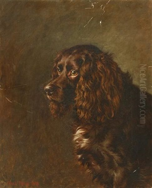 A Study Of A Spaniel Oil Painting by Frank Paton