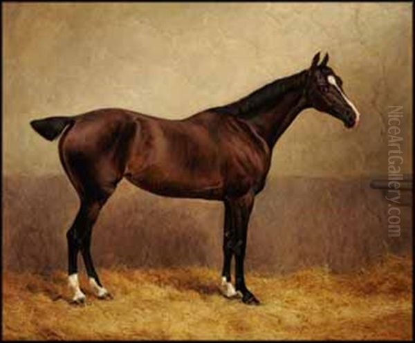 Portrait Of A Racing Horse In A Stable Oil Painting by Frank Paton