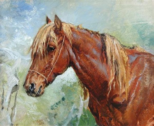 Study Of A Chestnut Mare Oil Painting by Frank Paton