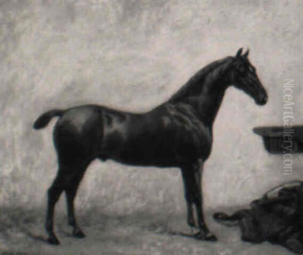 Portrait Of A Chestnut Horse In A Stable Oil Painting by Frank Paton