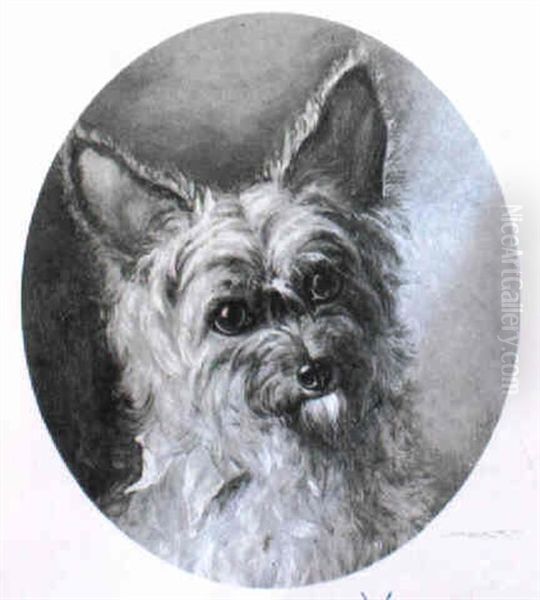 Yorkshire Terrier With A Blue Bow Oil Painting by Frank Paton