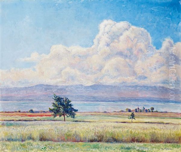 Paysage De La Cote Oil Painting by Emile Patru