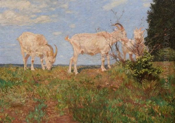 Browsing Goats In A Summer Landscape Oil Painting by Ernst Paul