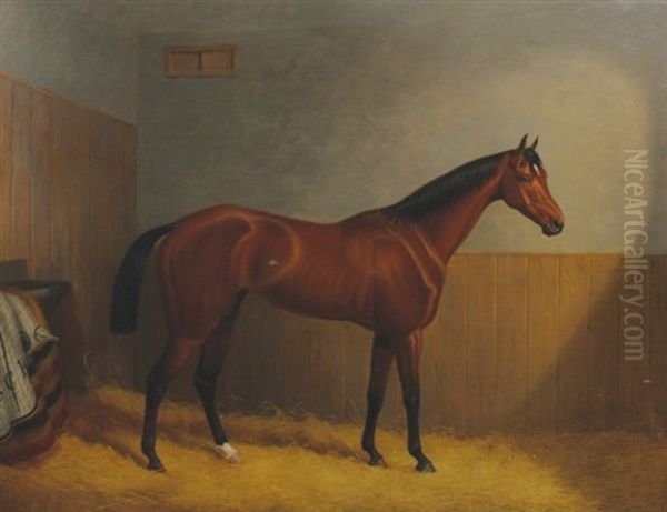 Portrait Of A Stallion In A Stable Oil Painting by John Paul