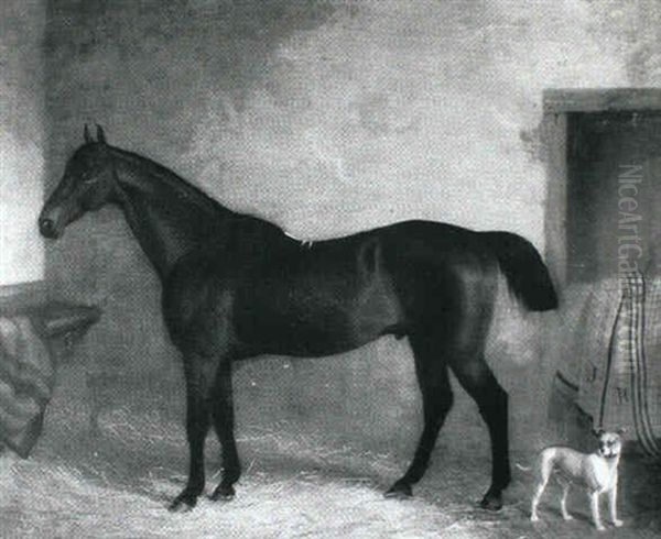 Dark Bay Hunter With A Terrier In A Loose Box Oil Painting by John Paul