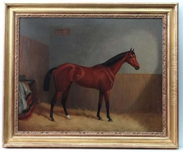 A Bay Racehorse Within A Stable With Initials To Blanket Bch Oil Painting by John Paul