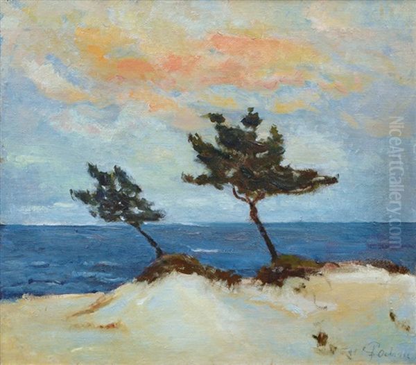 Pines At The Coast Of The Baltic Sea Oil Painting by Ingwer Paulsen