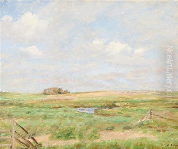 A Danish Landscape On A Summer Day Oil Painting by Julius Paulsen