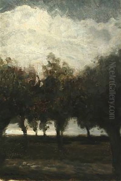 A Landscape Scene With Trees And Clouds In The Sky Oil Painting by Julius Paulsen