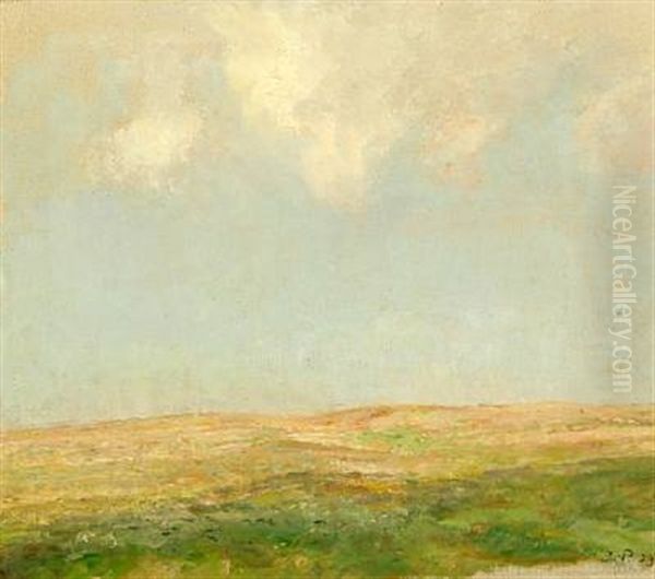 A Field With Clouds Above Oil Painting by Julius Paulsen