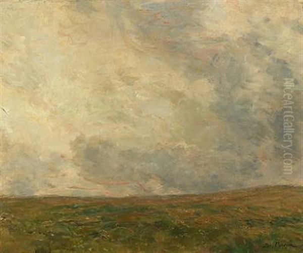 Landscape In Cloudy Weather Oil Painting by Julius Paulsen