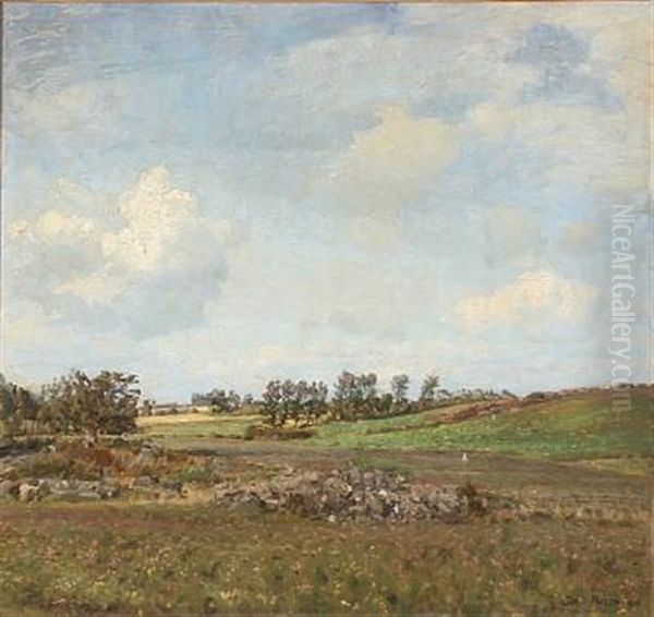 Kolig Sommerdag. Egn Ved Mariager Oil Painting by Julius Paulsen