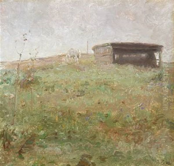 Field Scape With A Shet Oil Painting by Julius Paulsen