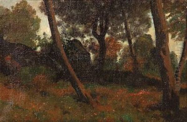 Forest Scene From Bornholm, Denmark Oil Painting by Julius Paulsen