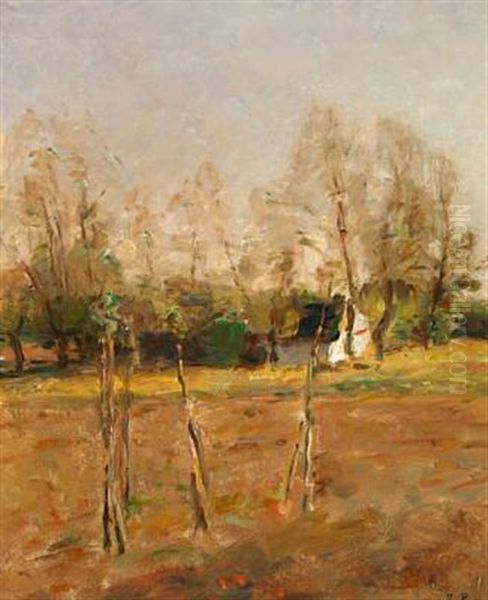 Landscape With Slender Trunks Oil Painting by Julius Paulsen