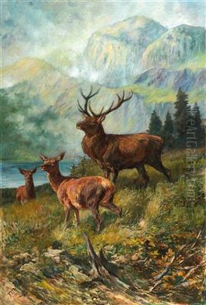 The Proud Stag Oil Painting by Franz Xaver von Pausinger