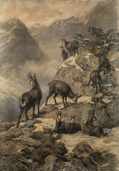 Chamois In The High Mountains Oil Painting by Franz Xaver von Pausinger