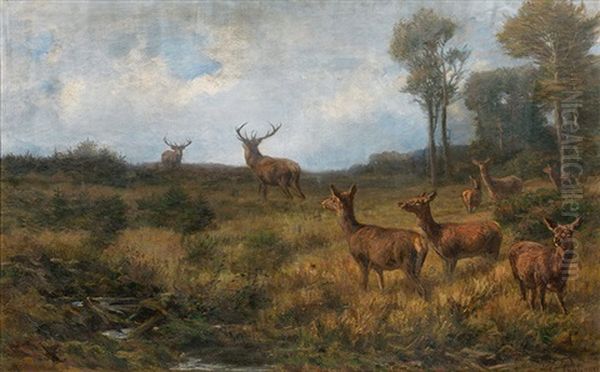 Herd Of Stags On A Forest Glade Oil Painting by Franz Xaver von Pausinger